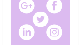 thebranddesign-Social Media Kit-icon